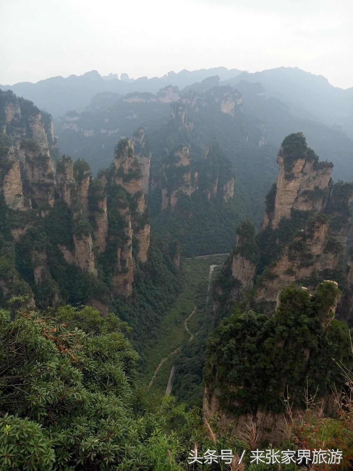 山东到张家界凤凰五日游攻略图文,佛山去张家界旅游攻略路线推荐图