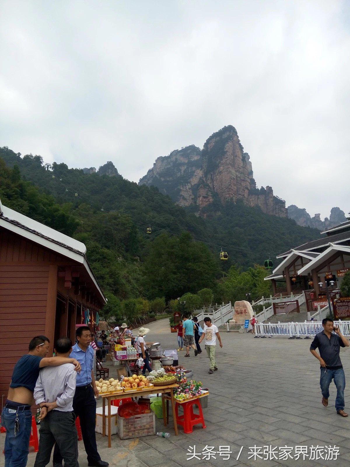 山东到张家界凤凰五日游攻略图文,佛山去张家界旅游攻略路线推荐图