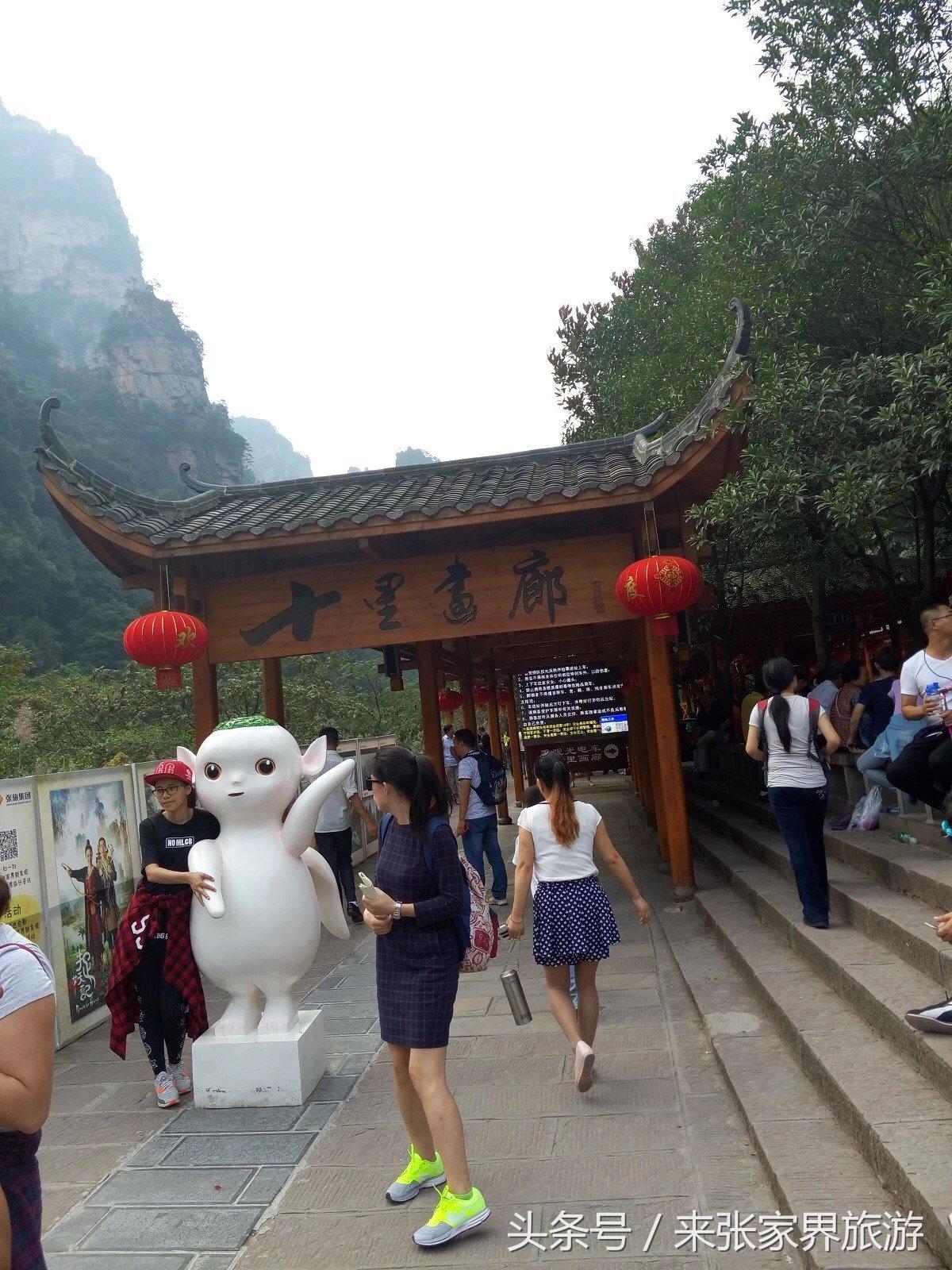 山东到张家界凤凰五日游攻略图文,佛山去张家界旅游攻略路线推荐图