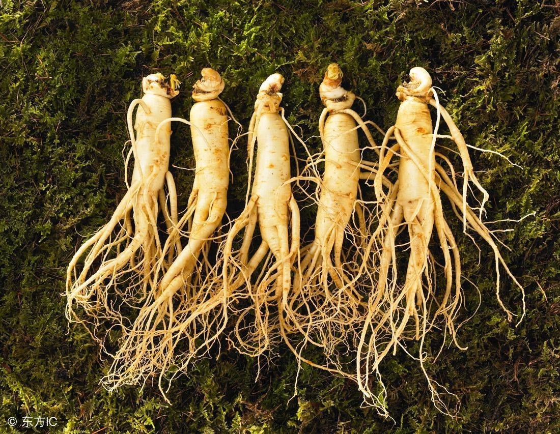 家中常备这五样，告别气血亏需，做漂亮女人