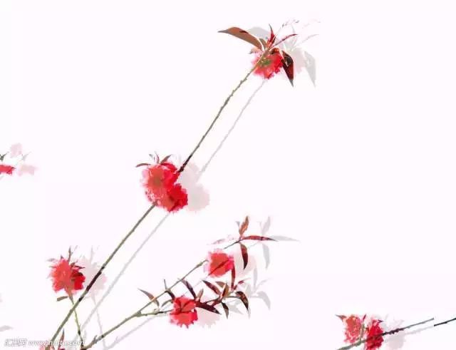 爱孩子不要太惯着他,爱孩子不要溺爱