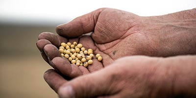 世界杯不允许喝啤酒吗,世界杯你拿什么喝啤酒