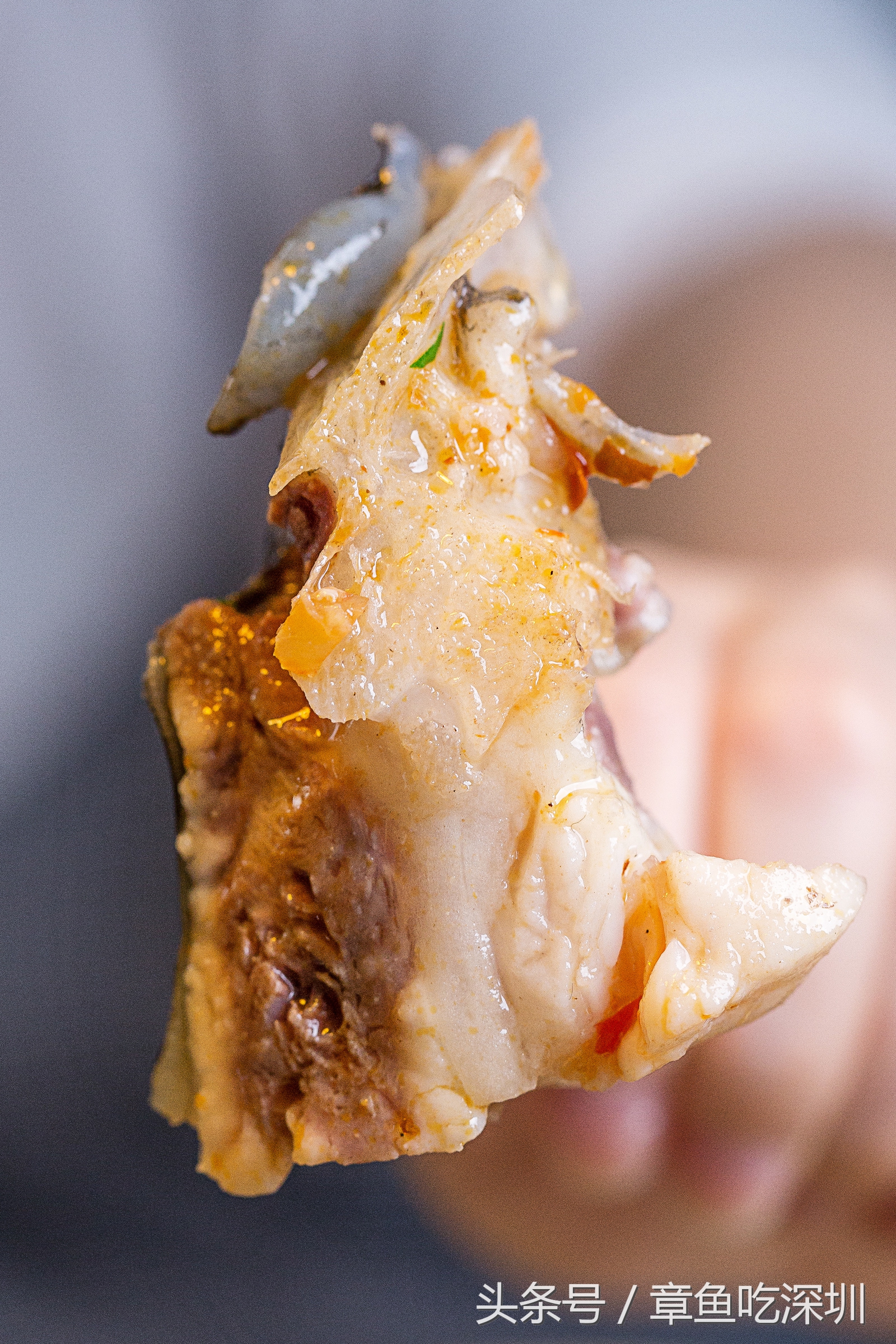 深圳福田潮汕鱼头王,深圳鱼头王湘菜馆