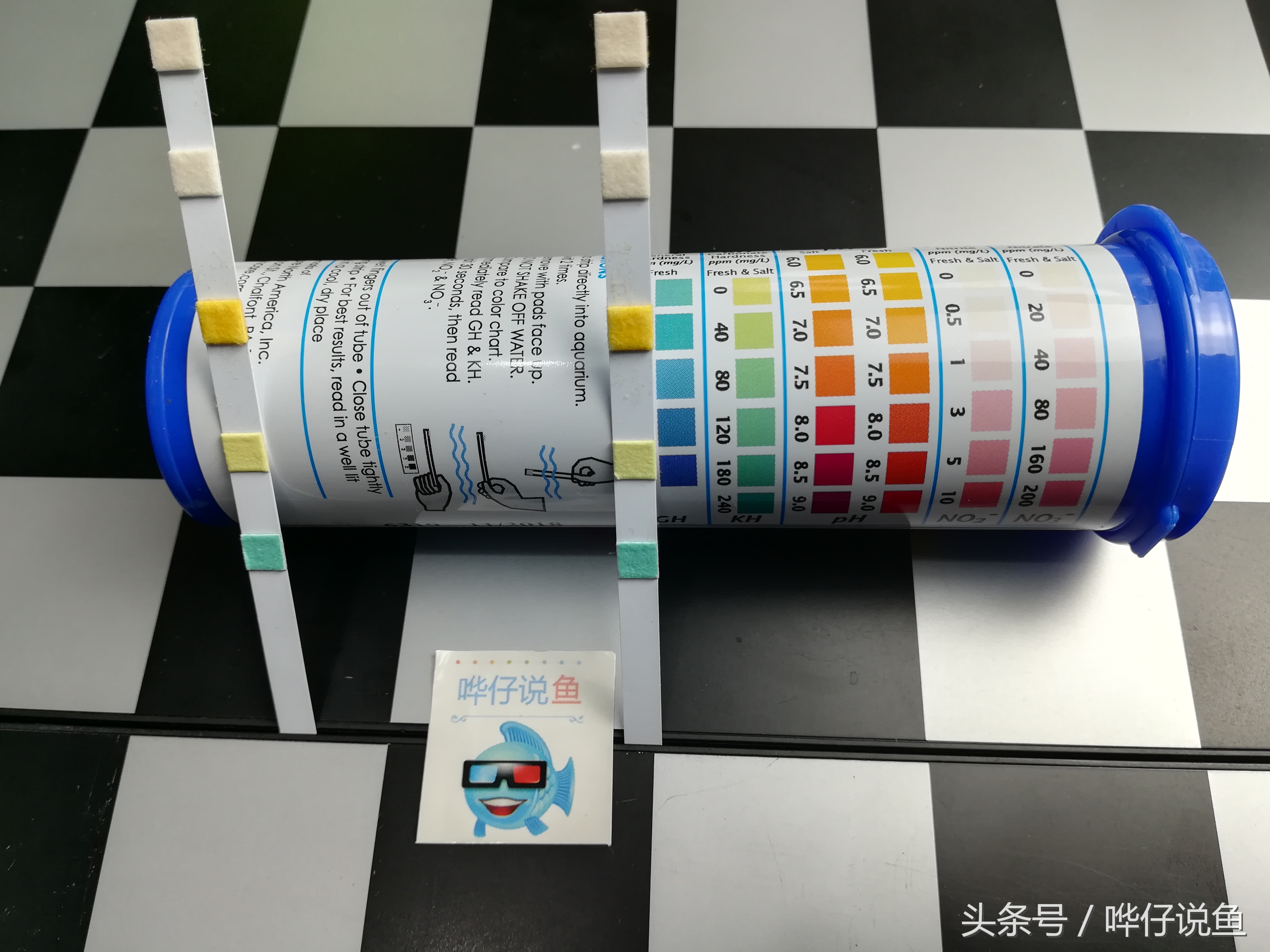 天冷观赏鱼硝化细菌怎么建立,观赏鱼怎样培养硝化细菌