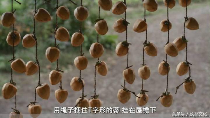 越看越饿的美食电影,看完有食欲的视频