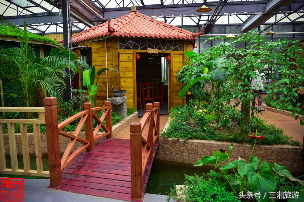 株洲生态休闲农庄生态餐饮,株洲野生鱼饭店