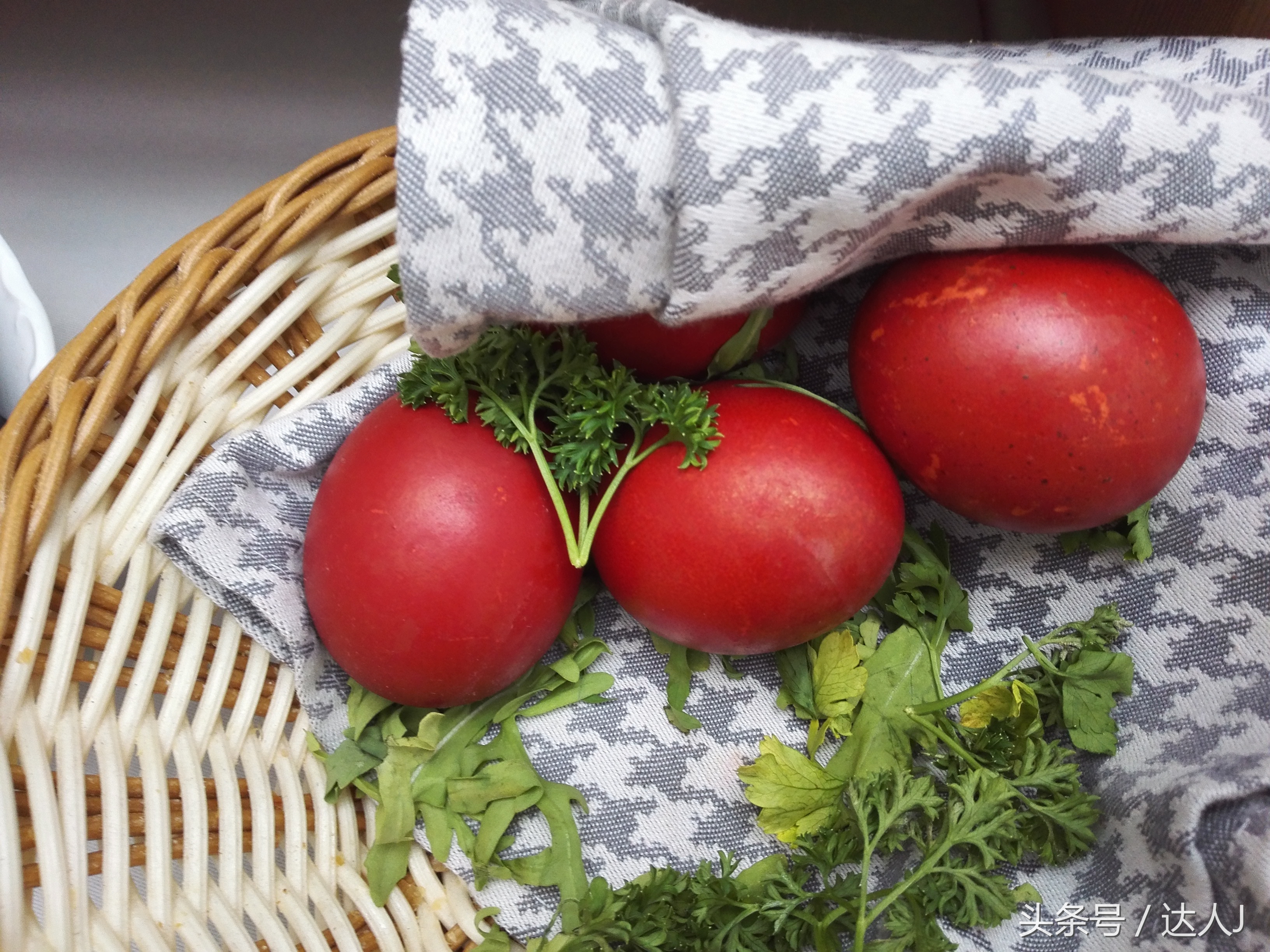 塞尔维亚的吉祥三宝:美女、帅哥、Kafana!