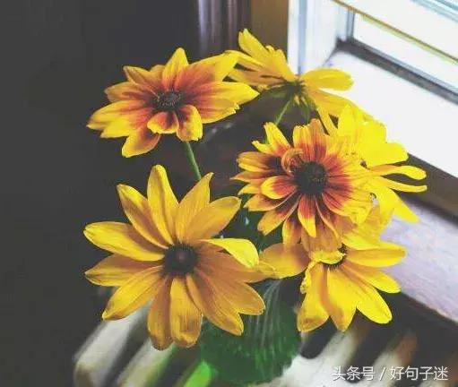 正能量句子心灵鸡汤励志语录简短,心灵鸡汤经典励志语录正能量短句