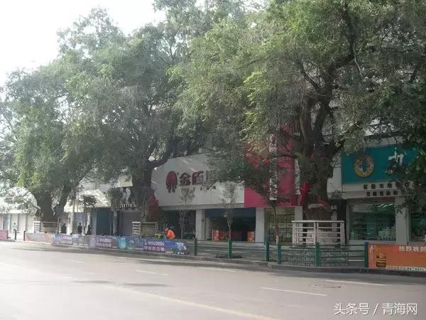 西宁最全攻略,在西宁生活省钱攻略