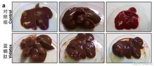 古巴抗癌新药,古巴蓝蝎肽有效果吗