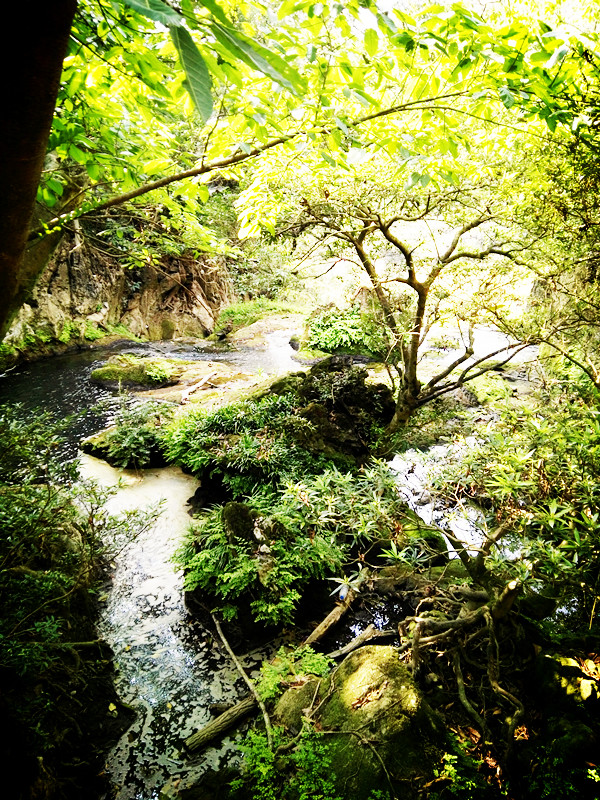 去黄果树有必要去天星桥吗,来贵州黄果树瀑布景区
