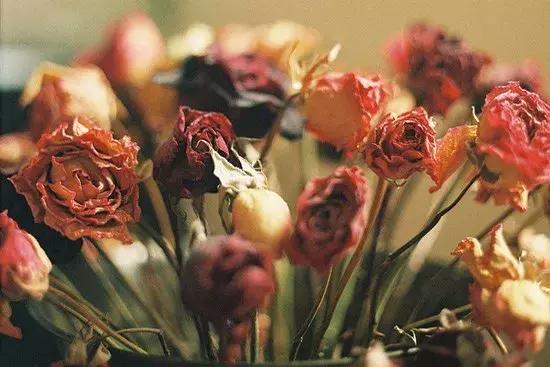 永生花插花制作方法,永生花制作教程520