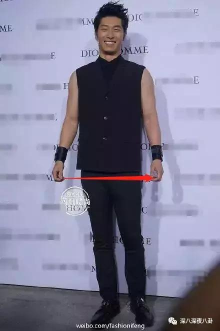 霍思燕为什么称小短手,霍思燕短手照片