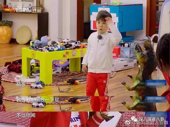 霍思燕为什么称小短手,霍思燕短手照片