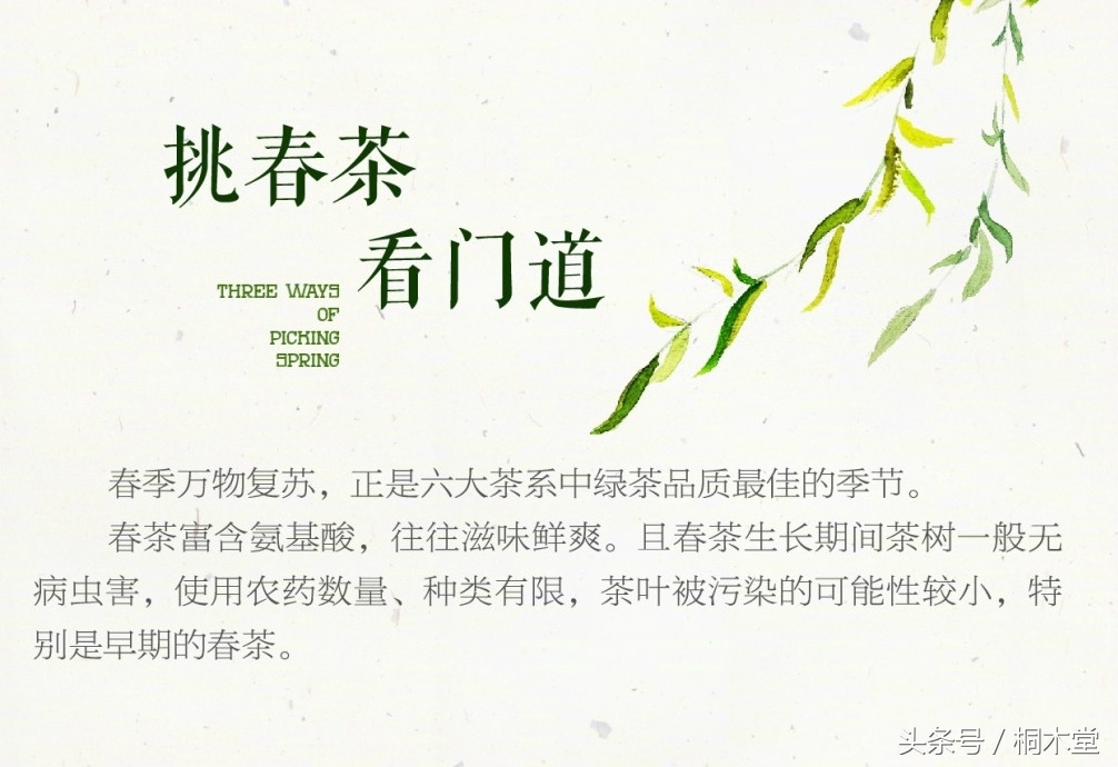 一张图读懂各种茶具,一张品茶实用图