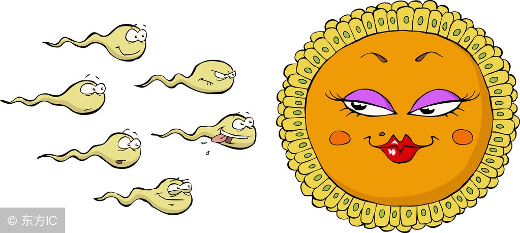 人的精子数亿计，为什么多数只有一个精子能到达卵子？