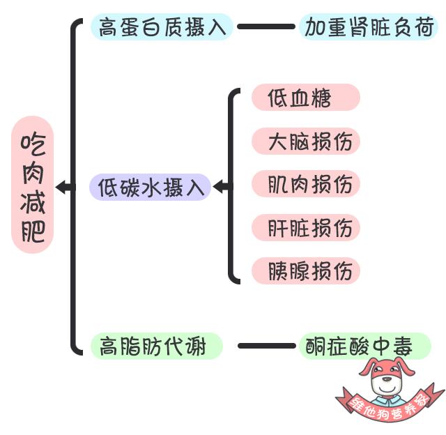 27万胖子用光吃不动的方法减了肥，你也一定想来试试