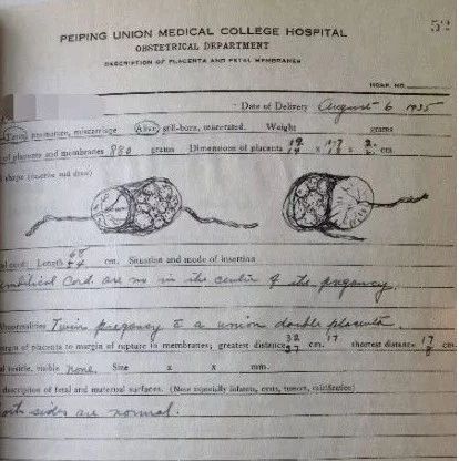 面对产科医生不许结婚生子的无理规定，她说：那我就一辈子不嫁！