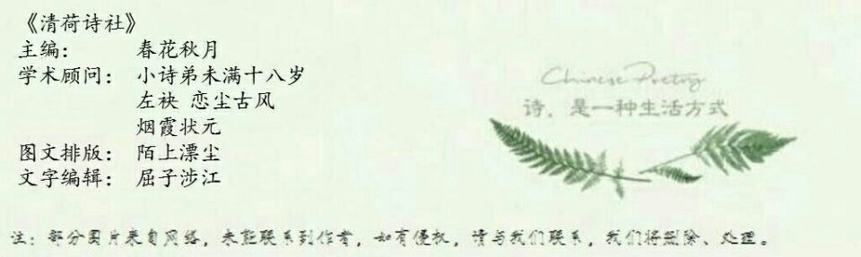 随笔摘抄精美古诗简短,葬花随笔