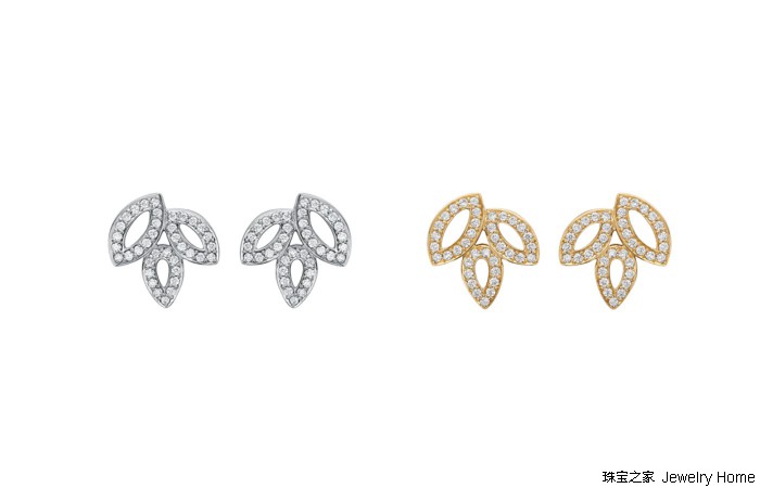 花草丛中，最爱的还是那朵LilyCluster