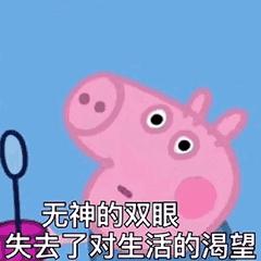 小猪佩奇表情包大全,小猪佩奇的表情包大全