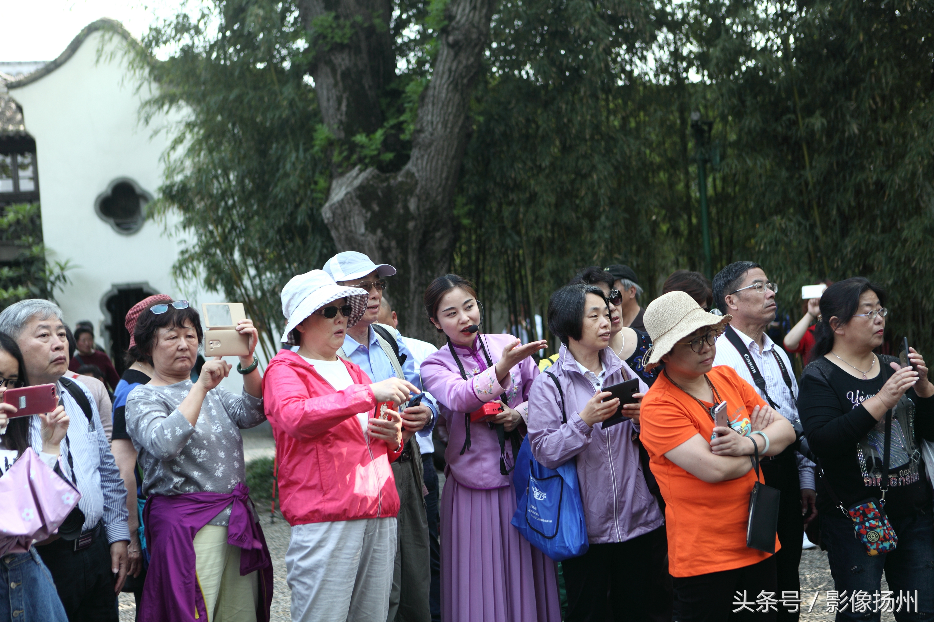 今天下午,在游客爆棚的个园内,传来了悠扬的古琴声声