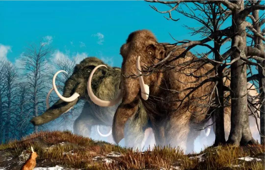 快读英国｜剑桥大学博士残忍*暴强**两女，只为实现*力暴**幻想