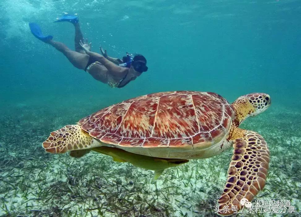 夏威夷怎么跨岛旅游的,夏威夷何时旅游最好