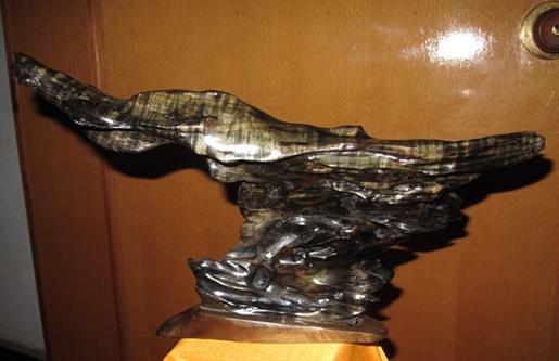 乌木怎么形成,乌木怎么形成的