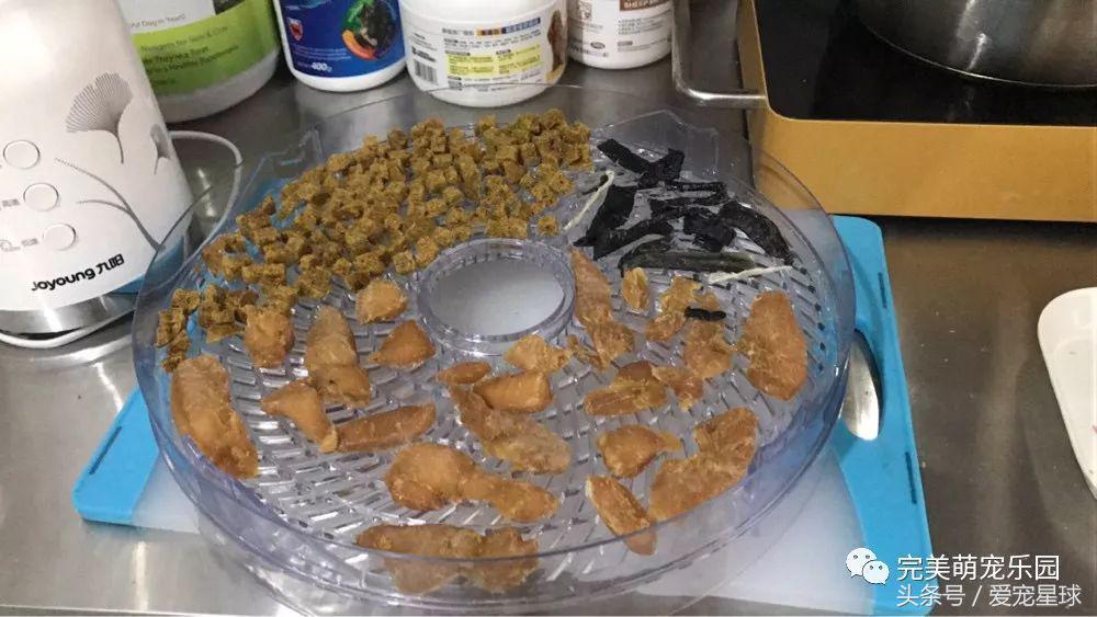 如何自制幼犬去泪痕狗粮视频教程,怎么给狗自制狗粮器