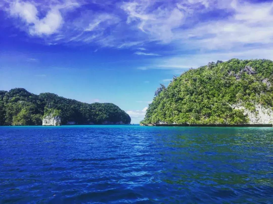 帕劳出行攻略详细,帕劳国内怎么去