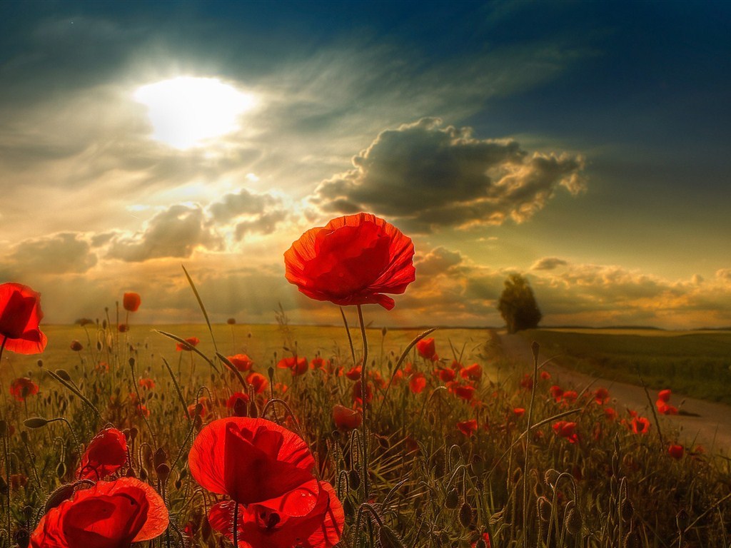 彼此都有家庭却还放不下前任,彼此都有家庭却相爱