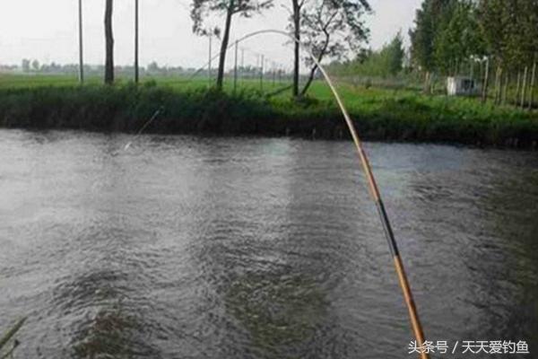 野钓流水钓鱼的正确方法和技巧,流水野钓技巧