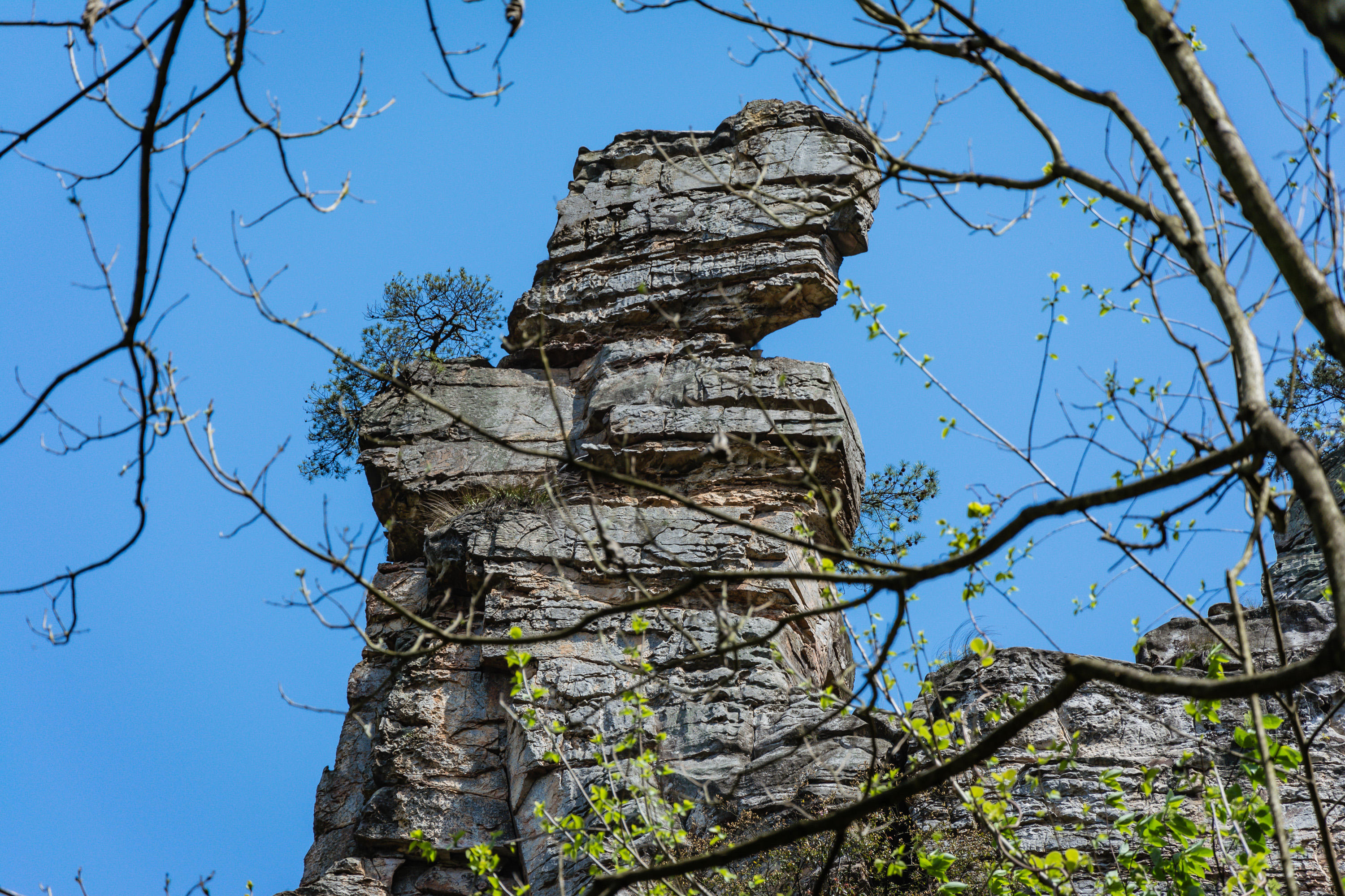 张家界旅游攻略必去的10个景点,张家界值得玩的几个景点推荐一下