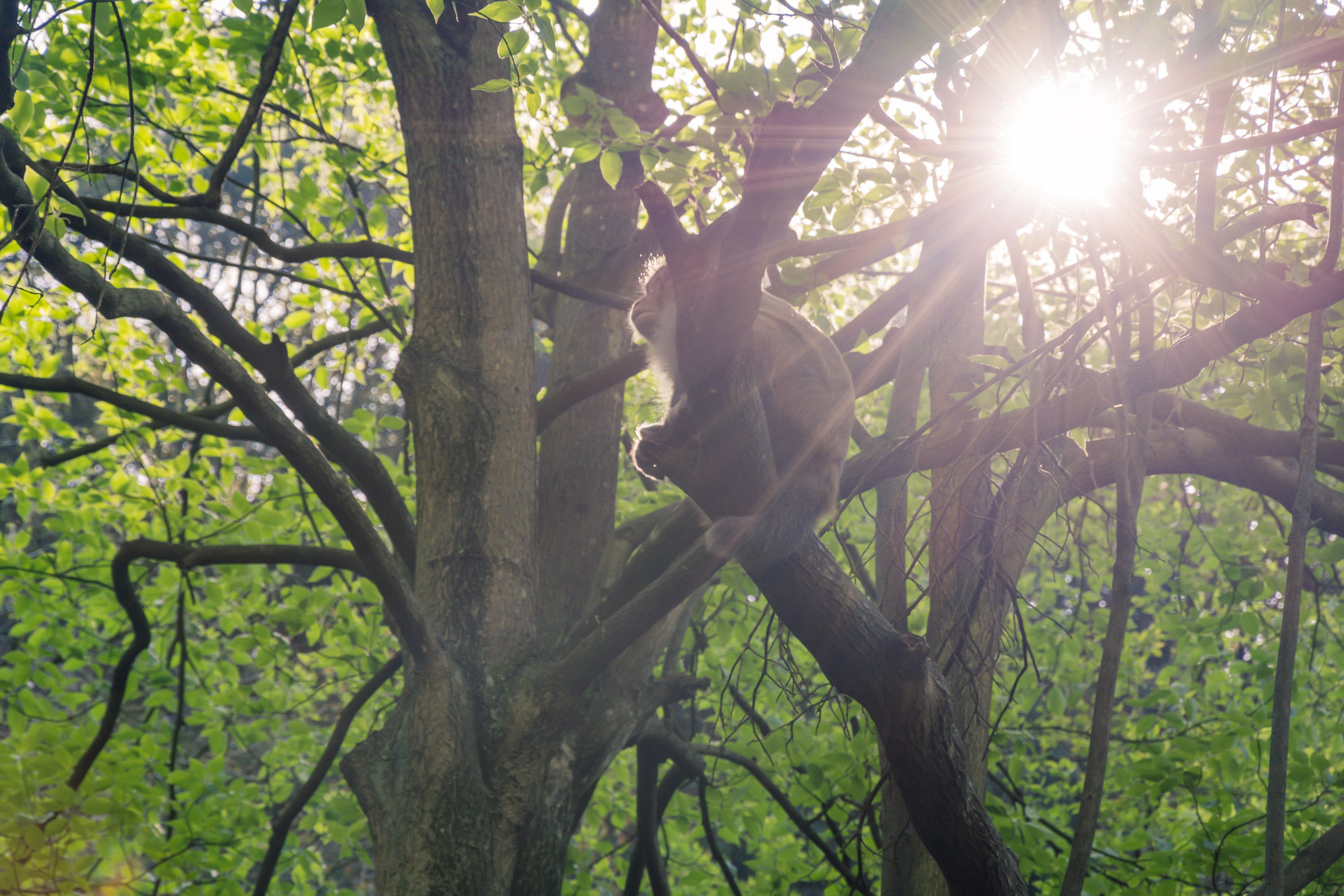 张家界旅游攻略必去的10个景点,张家界值得玩的几个景点推荐一下