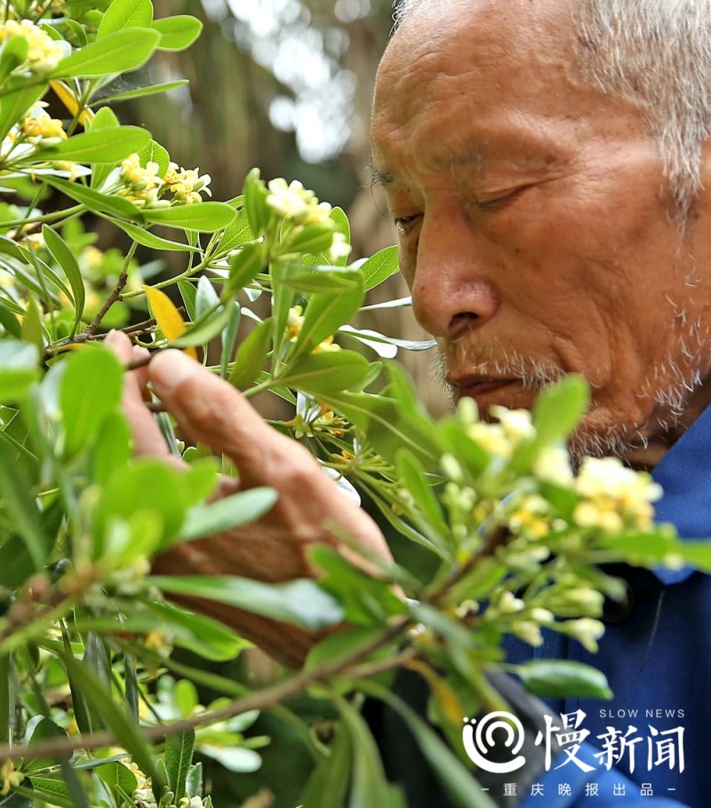 拾荒校长捐衣服,88岁校长捐赠百万助学