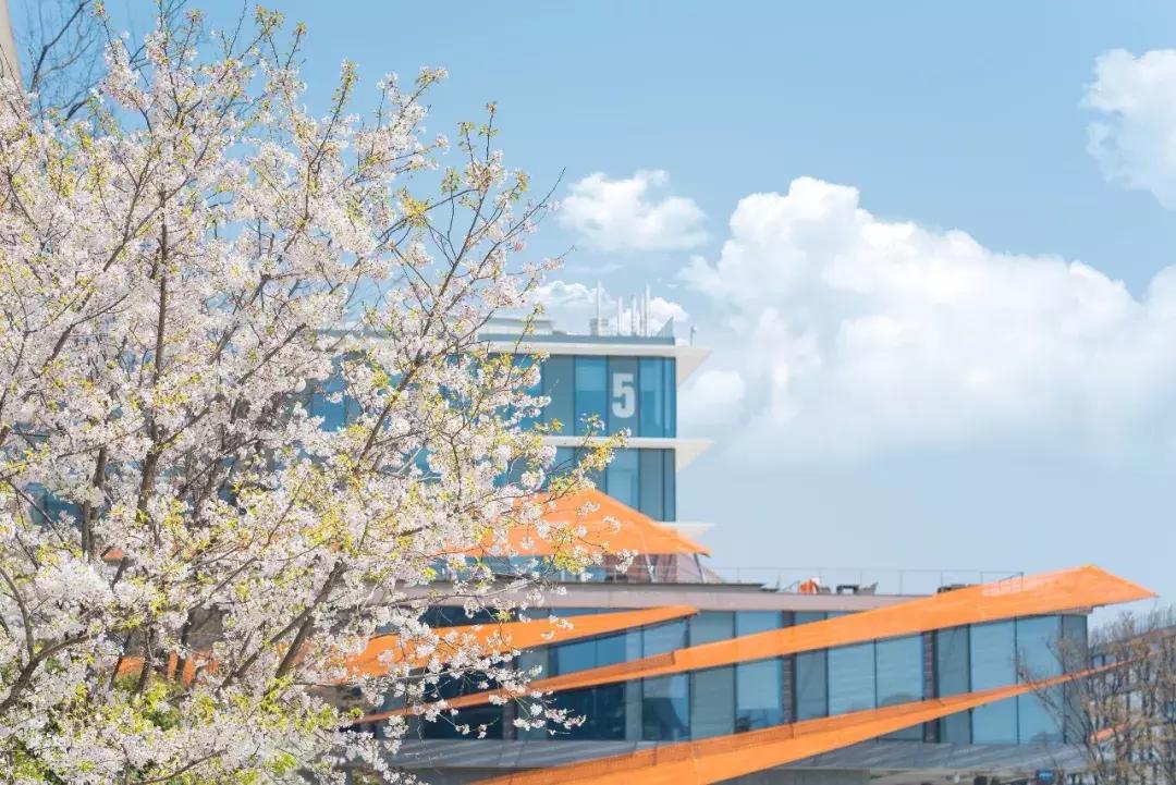 年轻人你为什么进国企工作,年轻人你为什么要学习和努力