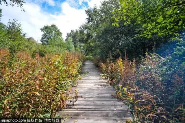 北京最值得去的十个景区,北京最值得爬的山四五月份