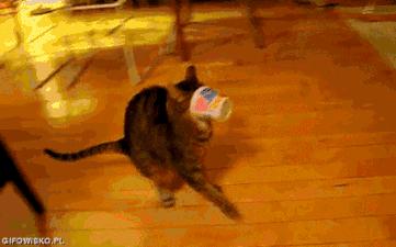 怎么判断淘宝代购真假区别,淘宝上如何辨别真假货