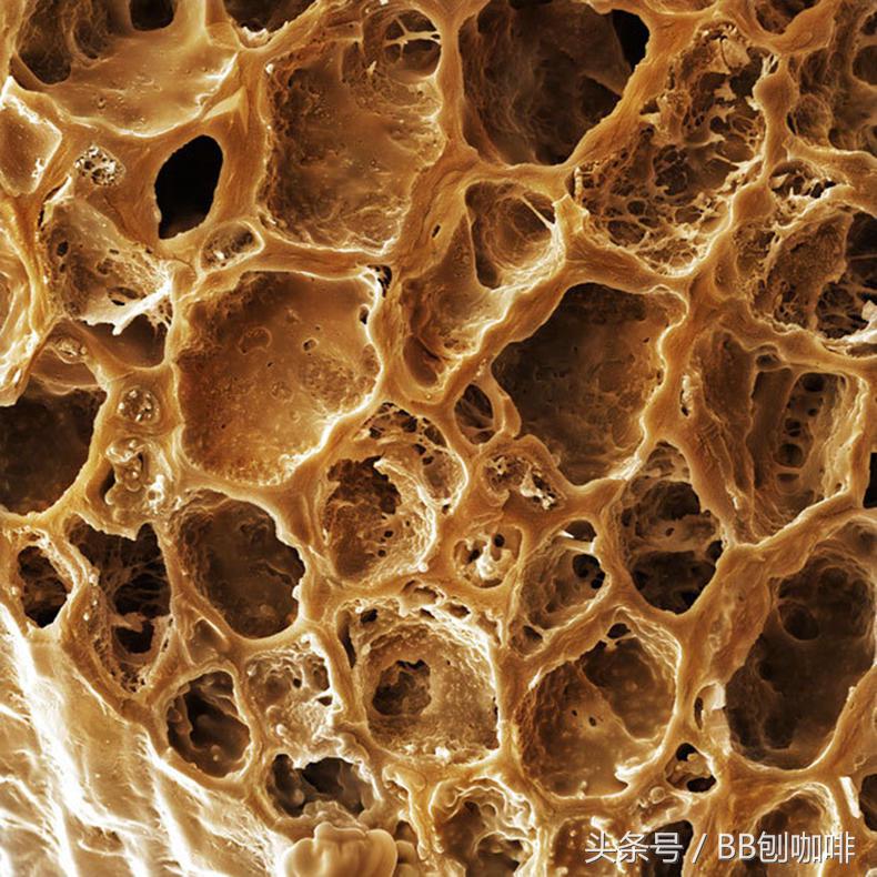 咖啡制作中的常见问题,日常解答咖啡问题