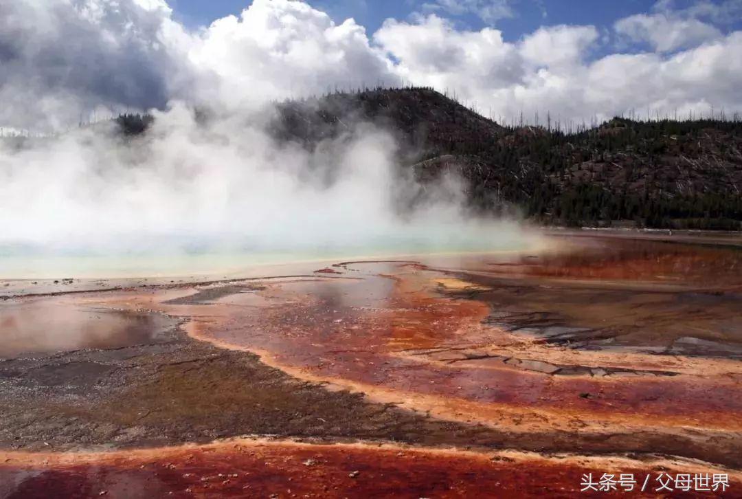 世界地球日，最适合孩子看的18部自然纪录片，趁周末，带娃看起来