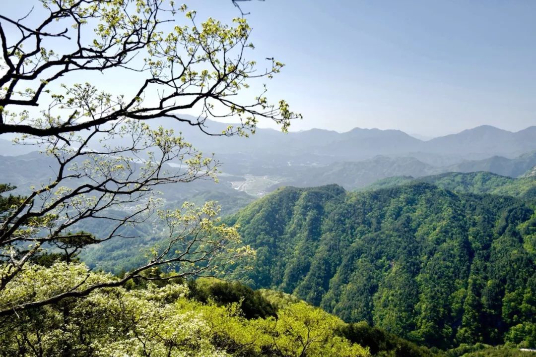 黄冈旅游一日游 (武汉黄冈景区有哪些景点)