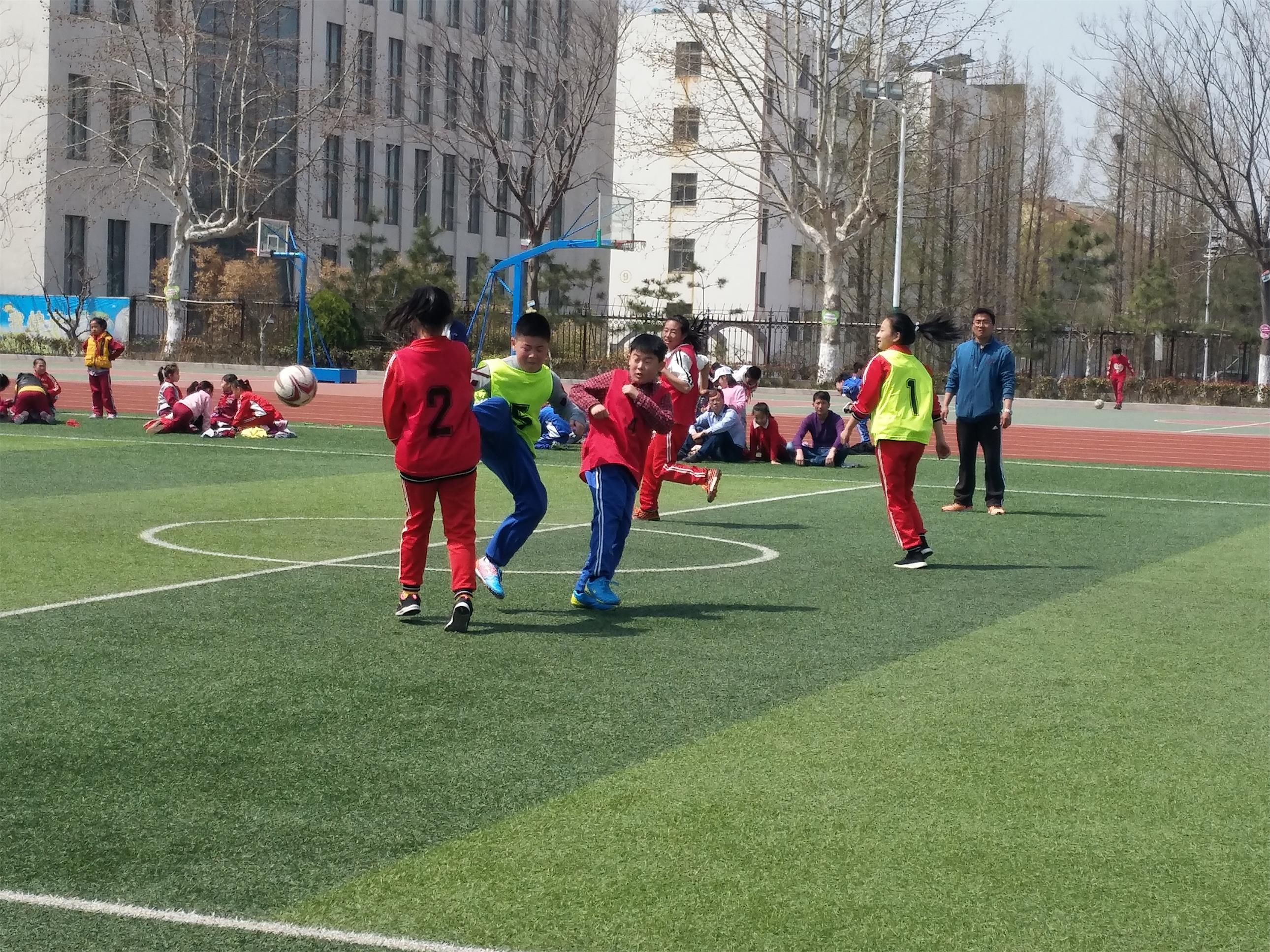 我是运动小健将主题活动,我是运动小健将主题美篇