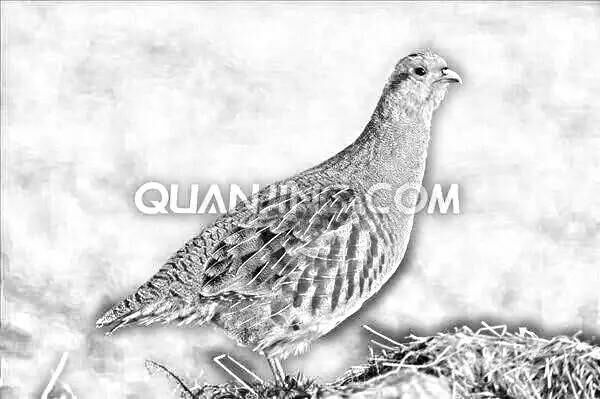 <html>
<head><title>502BadGateway</title></head>
<body>
<center><h1>502BadGateway</h1></center>
<hr><center>nginx</center>
</body>
</html>
<!--apaddingtodisableMSIEandChromefriendlyerrorpage-->
<!--apaddingtodisableMSIEandChromefriendlyerrorpage-->
<!--apaddingtodisableMSIEandChromefriendlyerrorpage-->
<!--apaddingtodisableMSIEandChromefriendlyerrorpage-->
<!--apaddingtodisableMSIEandChromefriendlyerrorpage-->
<!--apaddingtodisableMSIEandChromefriendlyerrorpage-->
