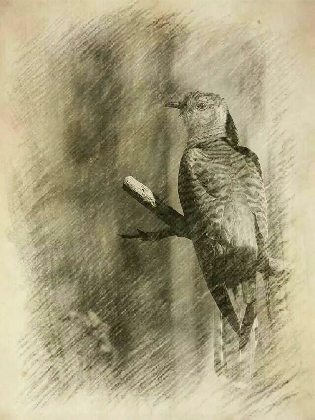 <html>
<head><title>502BadGateway</title></head>
<body>
<center><h1>502BadGateway</h1></center>
<hr><center>nginx</center>
</body>
</html>
<!--apaddingtodisableMSIEandChromefriendlyerrorpage-->
<!--apaddingtodisableMSIEandChromefriendlyerrorpage-->
<!--apaddingtodisableMSIEandChromefriendlyerrorpage-->
<!--apaddingtodisableMSIEandChromefriendlyerrorpage-->
<!--apaddingtodisableMSIEandChromefriendlyerrorpage-->
<!--apaddingtodisableMSIEandChromefriendlyerrorpage-->
