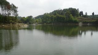 广西南宁钓鱼钓点,广西最新钓鱼技巧