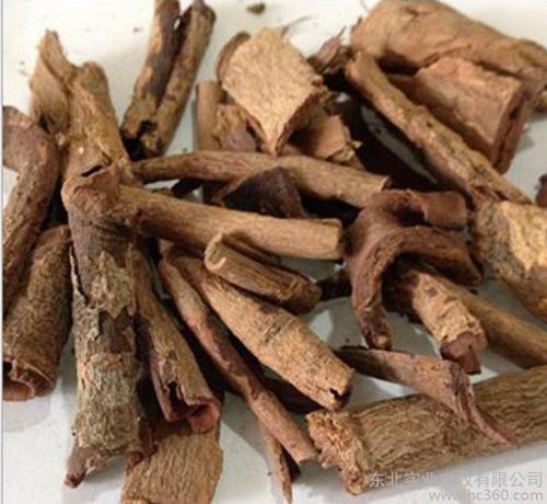 当心夏季蚊虫猖獗教你防虫攻略,夏天蚊虫多灭虫方法