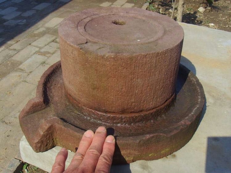 收藏的乐趣在哪里,收藏的乐趣优秀作文