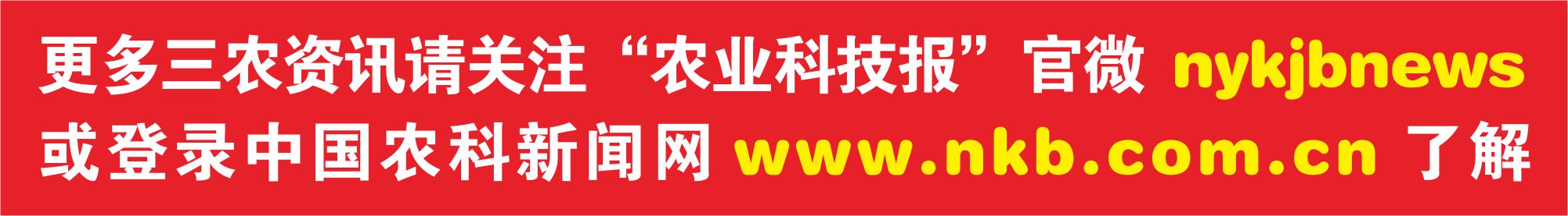 农民致富好物分享,农民朋友的致富宝典