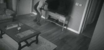 保镖型狗,保镖犬德牧